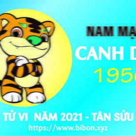 TỬ VI NĂM 2021 TUỔI CANH DẦN 1950 NAM MẠNG
