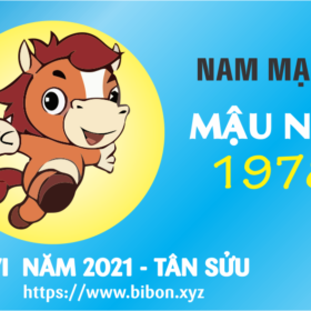 TỬ VI NĂM 2021 TUỔI MẬU NGỌ 1978 NAM MẠNG