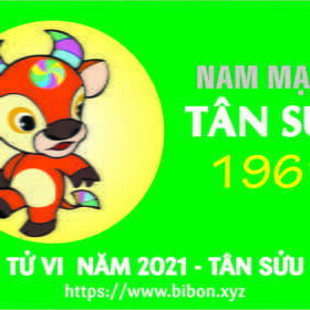 TỬ VI NĂM 2021 TUỔI TÂN SỬU 1961 NAM MẠNG
