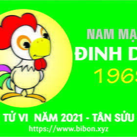 TỬ VI NĂM 2021 TUỔI KỶ DẬU 1969 NAM MẠNG