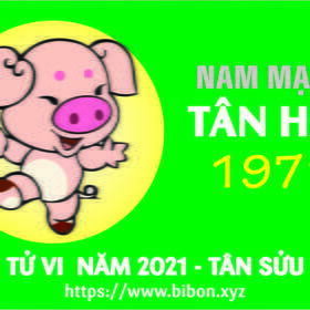 TỬ VI NĂM 2021 TUỔI TÂN HỢI 1971 NAM MẠNG