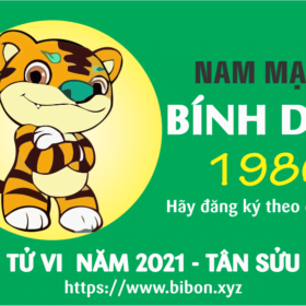 TỬ VI NĂM 2021 TUỔI BÍNH DẦN 1986 NAM MẠNG