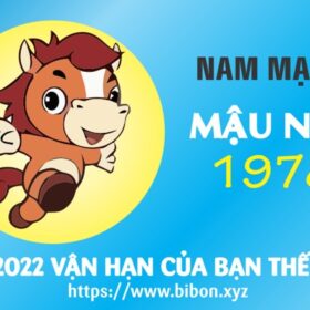 TỬ VI TUỔI MẬU NGỌ 1978 NAM MẠNG NĂM 2022 (Nhâm Dần)