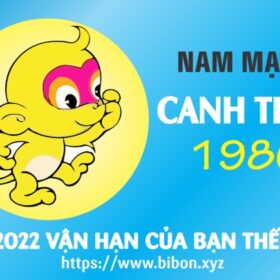 TỬ VI TUỔI CANH THÂN 1980 NAM MẠNG NĂM 2022 (Nhâm Dần)