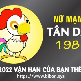 TỬ VI TUỔI TÂN DẬU 1981 NỮ MẠNG NĂM 2022 (Nhâm Dần)