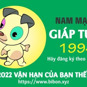 TỬ VI TUỔI GIÁP TUẤT 1994 NAM MẠNG NĂM 2022 (Nhâm Dần)