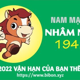 TỬ VI TUỔI NHÂM NGỌ 1942 NAM MẠNG NĂM 2022 (Nhâm Dần)