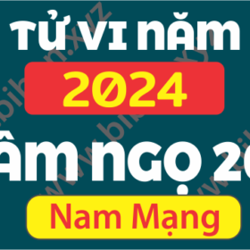 TU VI TUOI 2002 NHAM NGO NAM 2024 NAM MANG