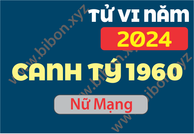 TU VI TUOI CANH TY 1960 NAM 2024 NU MANG